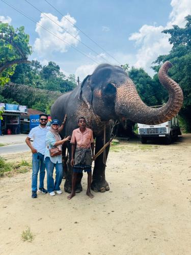 Pinnawala Boat Rental | Antique lanka tours