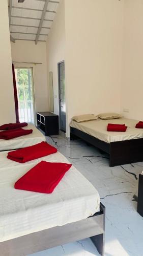 Chikkamagaluru House | Anwaya Homestay Chikmagalur