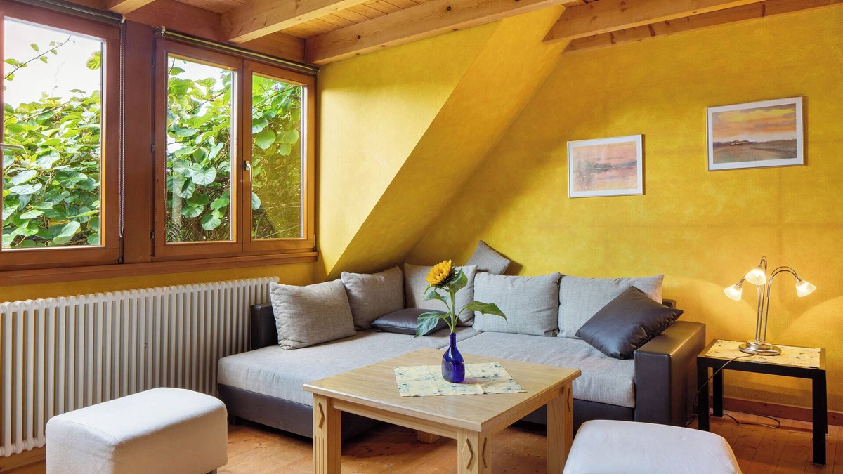 Feldberg Apartment | Apartment 'Fewo 1' with Wi-Fi