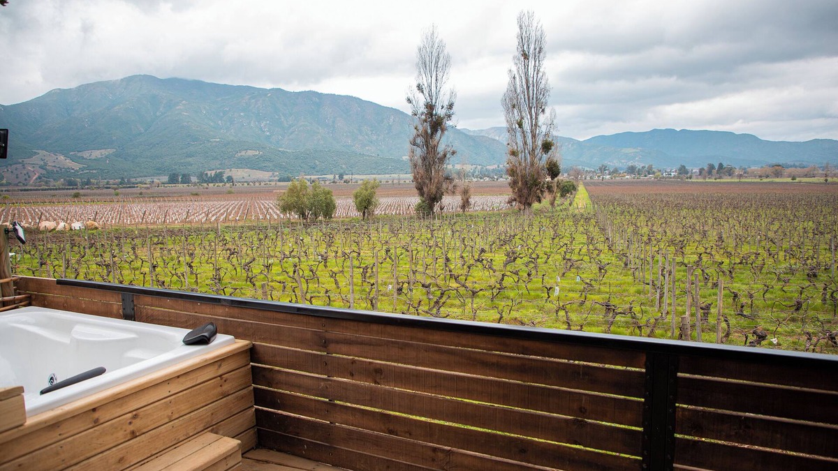 Santa Cruz Cabin | Apalta Lofts, enjoy the vineyards in front of the vineyards