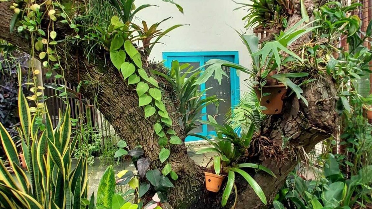 Ponta Negra Apartment | Apartamento Completo Standard Para até 3 Pessoas, Praia de Ponta Negra, Natal