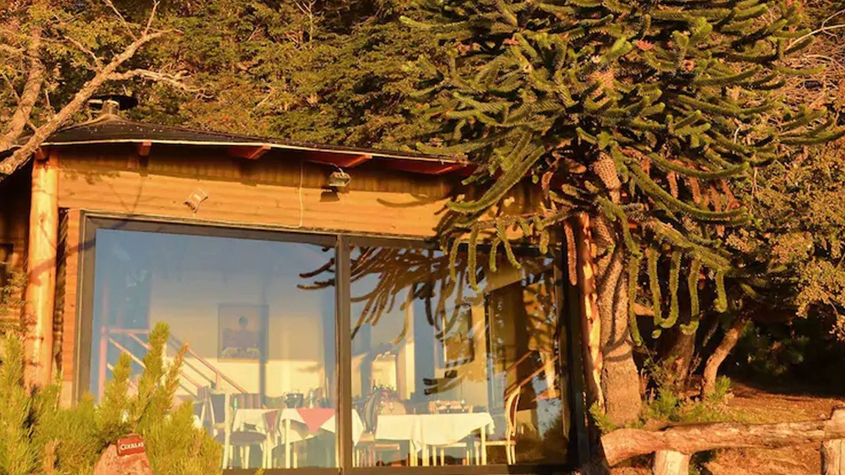 Moquehue Apartment | Apart Hotel La Busqueda