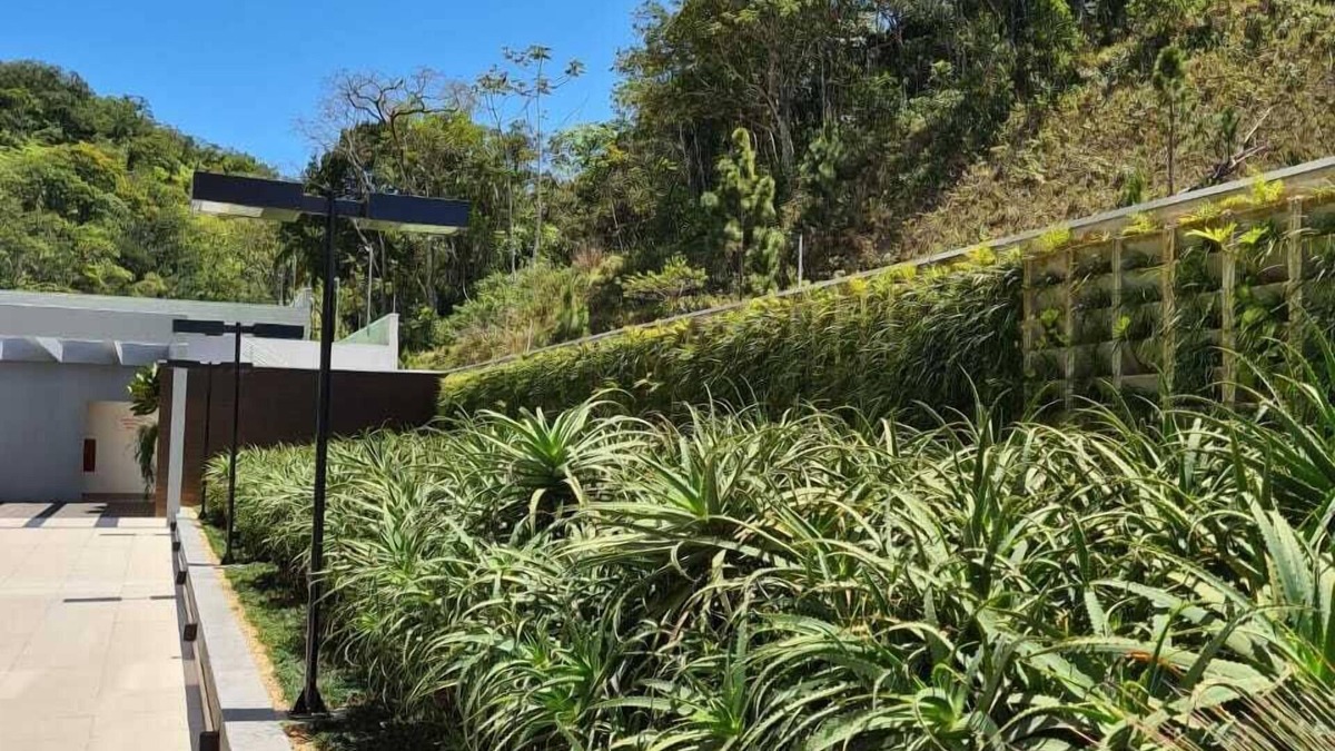 Itajai Apartment | Apart Modern, airy, amazing view of the sea and Atlantic rainforest and Bal. Camboriu.