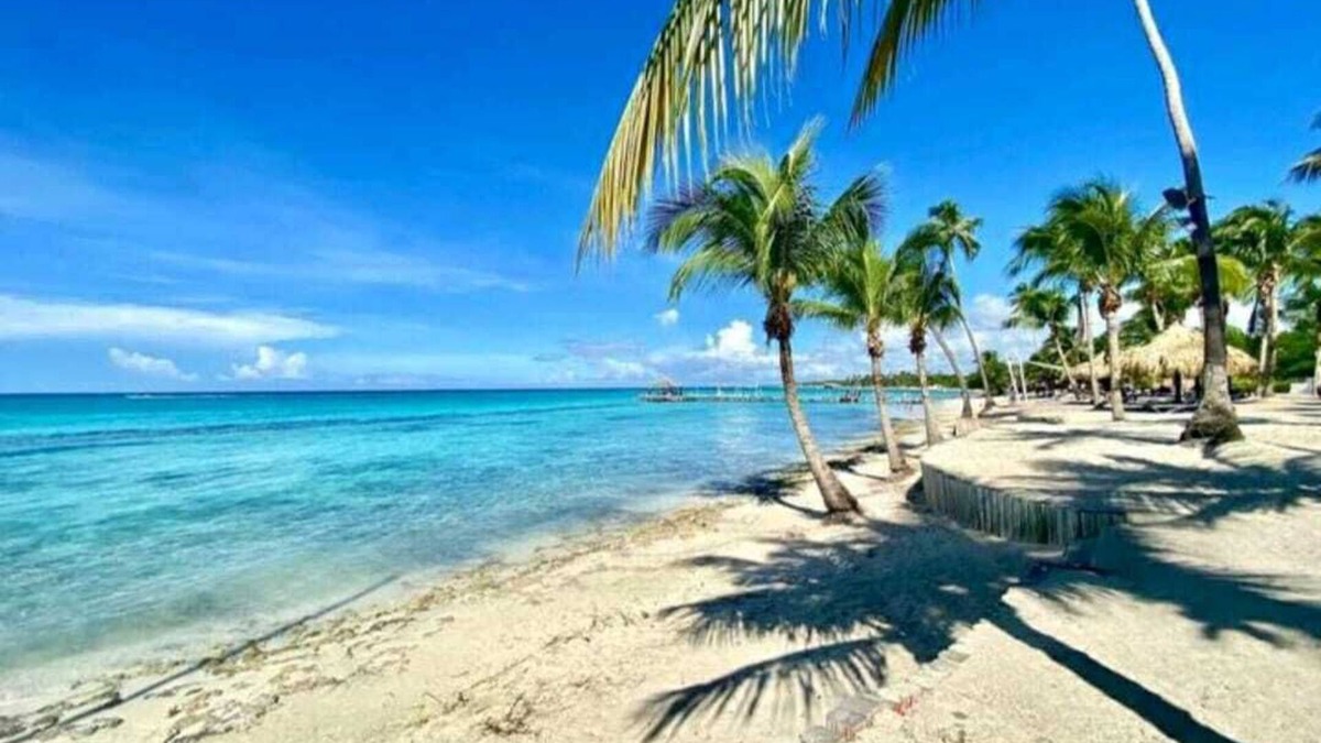 Dominicus Apartment | Apartamento Reformado con Playa Privada