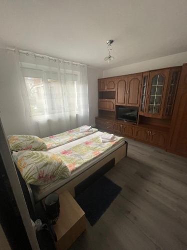 Hateg Apartment | Apartament 1