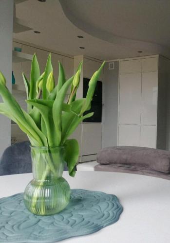 Olsztynek Apartment | Apartament 35