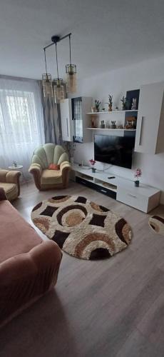 Tirgu Ocna Apartment | Apartament ALEX-LUXURY