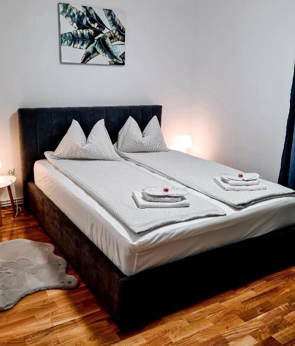 Emanoil Gojdu Apartment | Apartament Alina - la parter & parcare rezervata