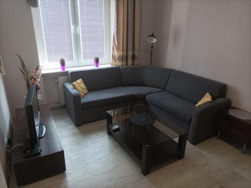 Torun Apartment | Apartament Azyl