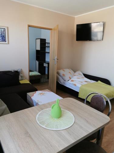 Tuchola Apartment | Apartament Borowiacki
