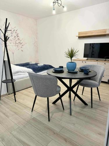 Zywiec Apartment | Apartament Bracka 23