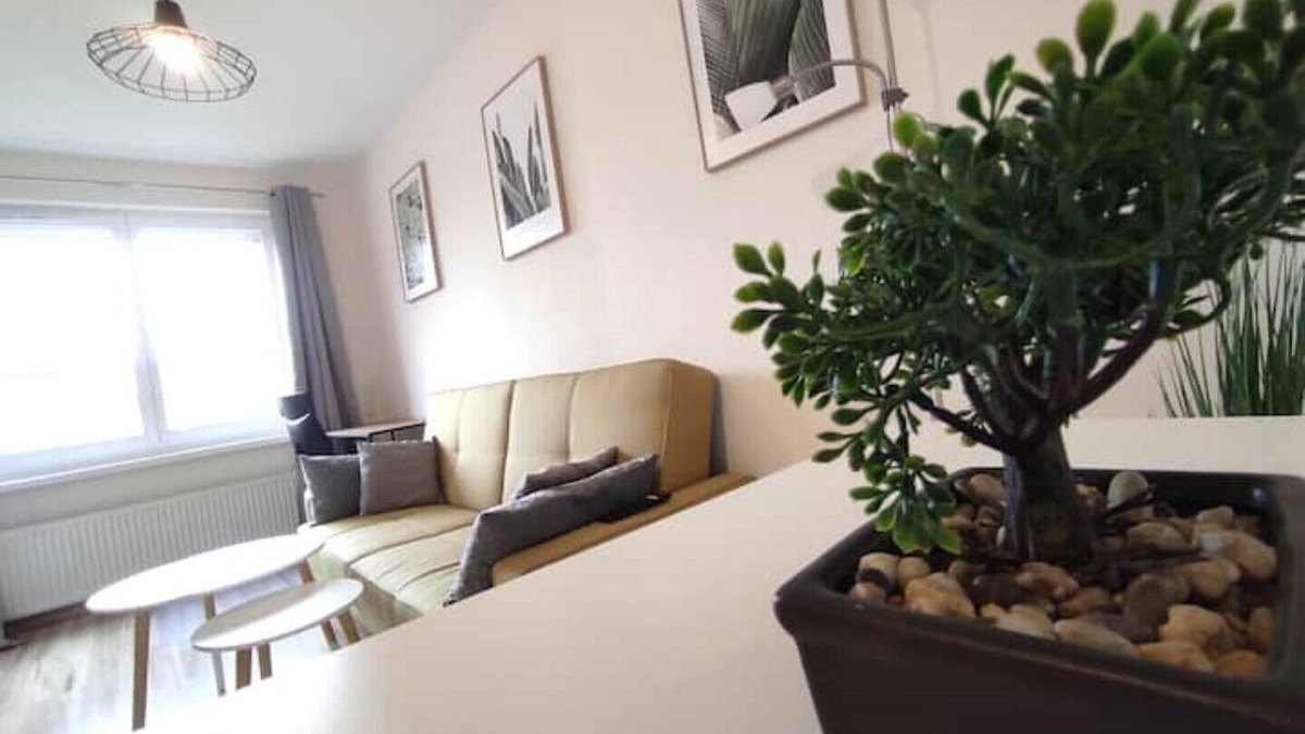 Rybnik Apartment | Apartament Casablanca - Rybnik.