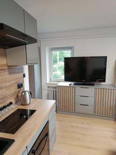 Bystrzyca Kłodzka Apartment | Apartament Centrum