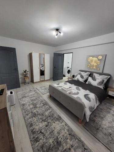 Zalau Apartment | Apartament cu 1 camera -ANA