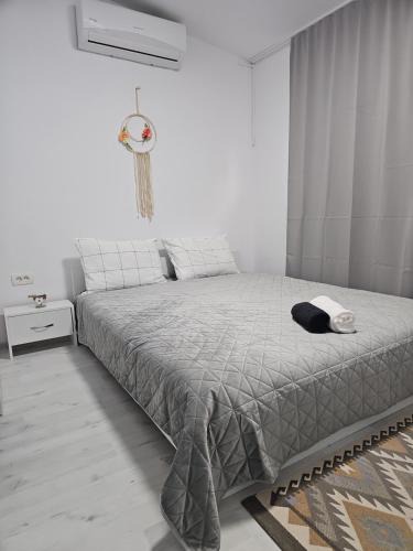 Arad Apartment | Apartament 'Cu viață', parcare fără plata, check in NON STOP