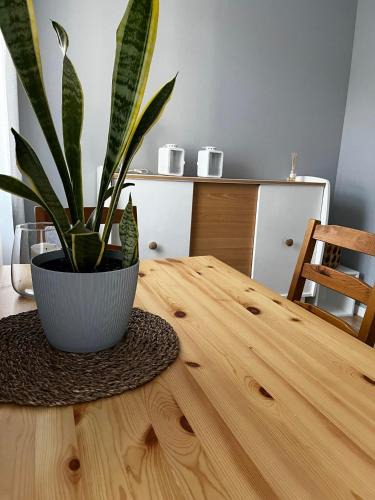 Aniolki Apartment | Apartament Ekonomiczny