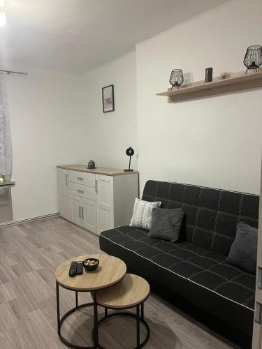 Zabrze Apartment | Apartament Górnik