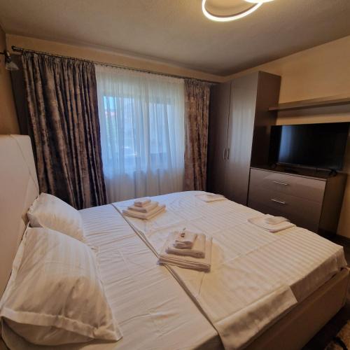 Curtea De Arges Apartment | Apartament Iulius 4