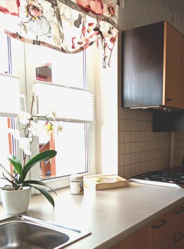 Czerwionka-Leszczyny Apartment | Apartament Leśny