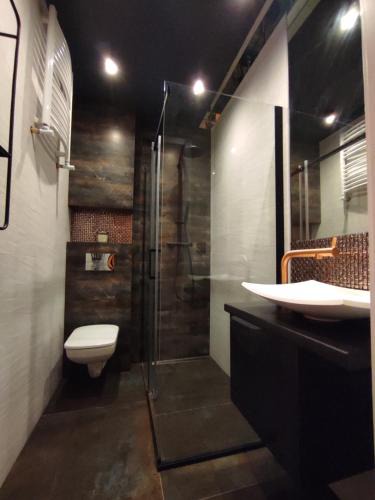 Stare Miasto District Apartment | Apartament Loftowy Wypoczynek GoldAir