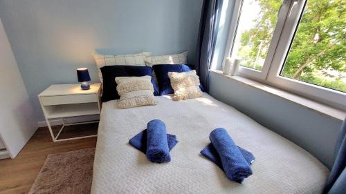 Mlawa Apartment | Apartament Mariacka