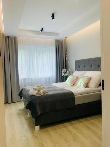 Gorzow Wielkopolski Apartment | Apartament Moniuszko z Parkingiem podziemnym