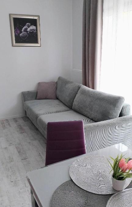 Lubin Apartment | Apartament na Kruczej