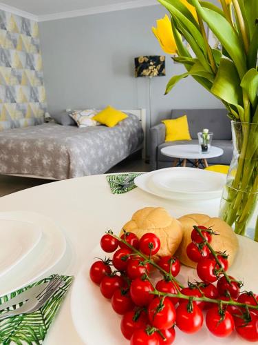 Pszczyna Apartment | Apartament na Starówce III