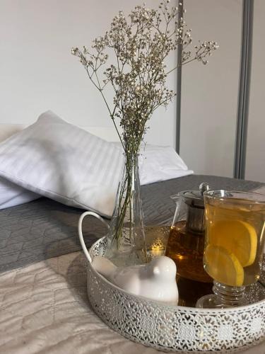 Pszczyna Apartment | Apartament Na Starówce VII