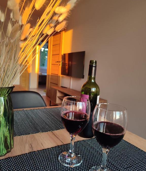 Głuchołazy Apartment | Apartament 'Na Szlaku'