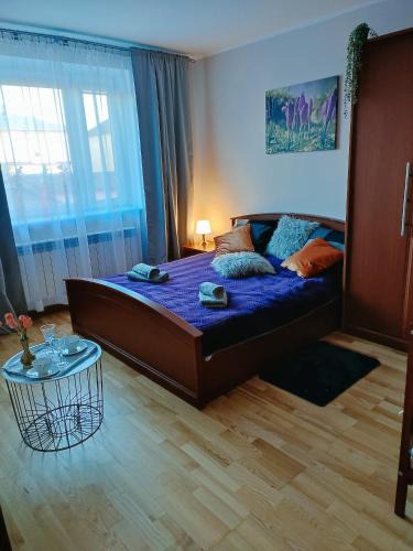 Sobkow Apartment | Apartament nad Nidą