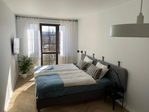 Chodziez Apartment | APARTAMENT OVOC 2.0