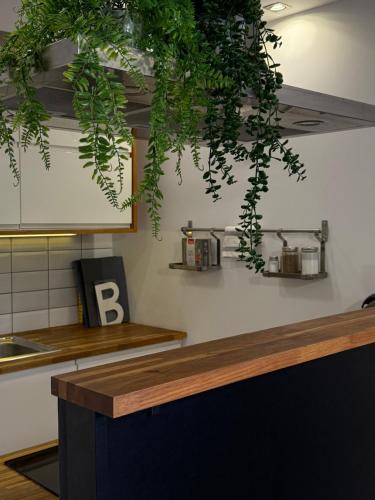 Fortuna Apartment | Apartament pod 13