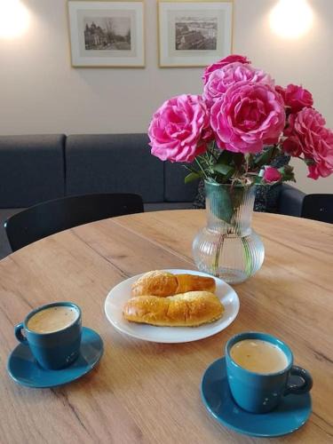 Plock Apartment | Apartament przy Ratuszu