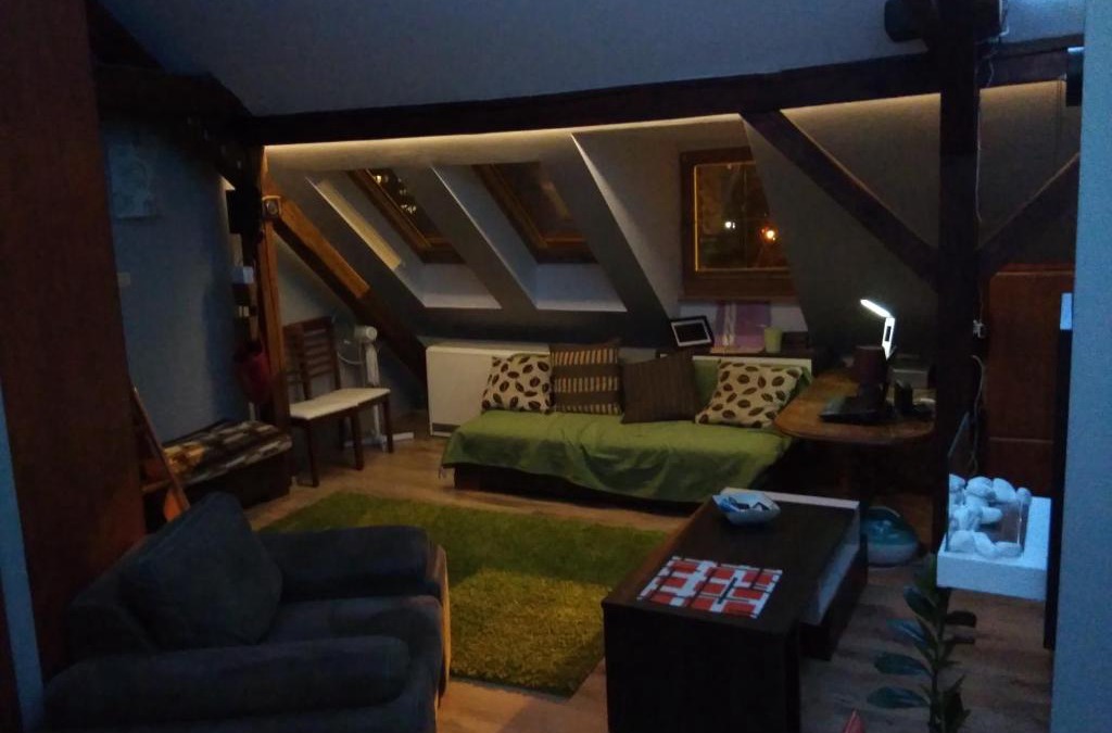 Pila Apartment | Apartament przy Wyspie