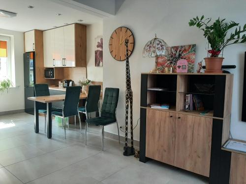 Tomaszow Mazowiecki Apartment | Apartament Renii