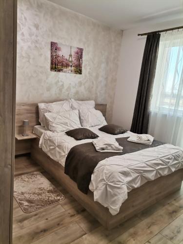 Sibiu Apartment | Apartament Rubin
