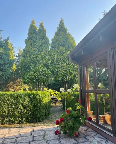 Skorcz Apartment | Apartament Skórcz Kociewie Pomorze Gdańskie Agroturystyka