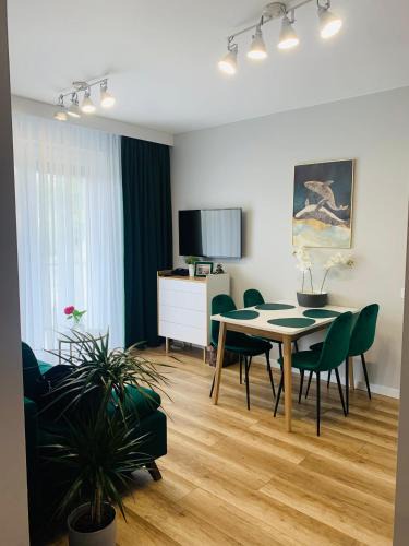 Gorzow Wielkopolski Apartment | Apartament Stemar z dyżym baloknem
