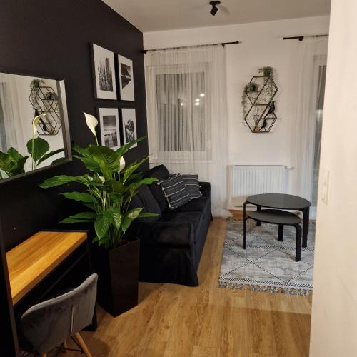 Pniewy Apartment | Apartament Studio