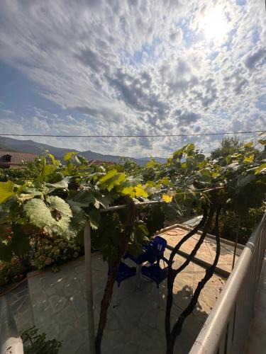 Permet Apartment | Apartament Teuta