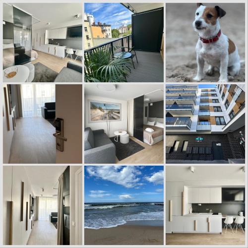 Kolobrzeg Apartment | APARTAMENT TYPU STUDIO - Nad Parsętą - 15 min od morza