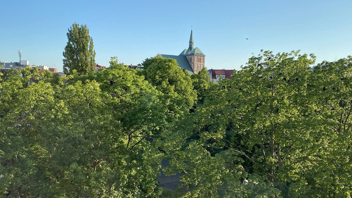 West Pomeranian Voivodeship Apartment | Apartament w Centrum