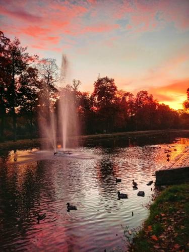 Bydgoszcz Apartment | Apartament w Parku nad Kanałem