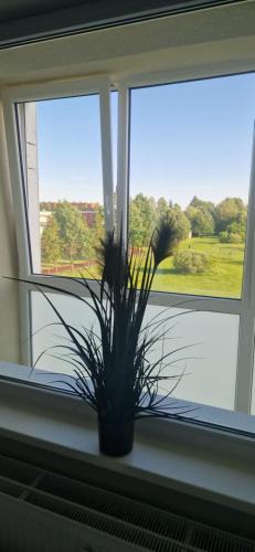Siauliai County Apartment | Apartamentai Naujojoje Akmenėje