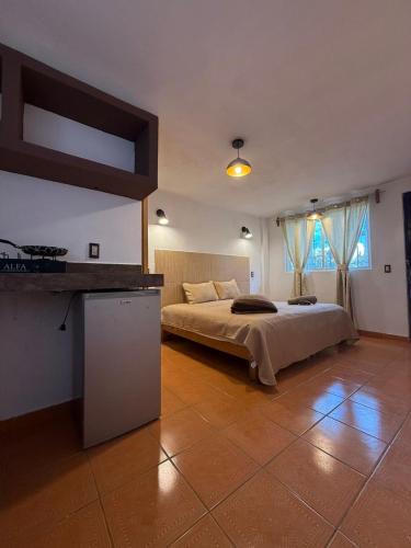Toluca Apartment | Apartamento 12