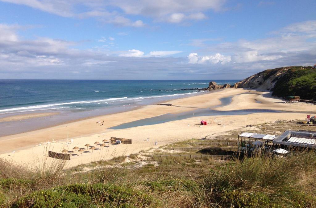 Paredes da Vitoria House | Apartamento acolhedor numa das mais belas praias do centro de Portugal