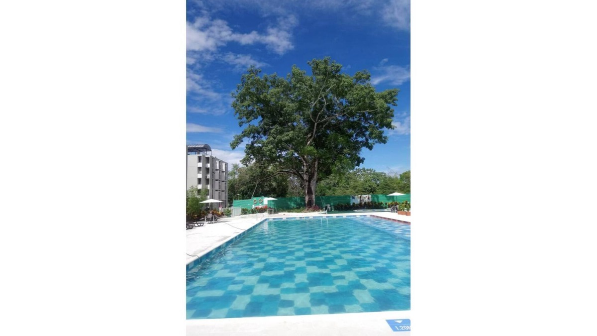 Melgar Apartment | Apartamento/