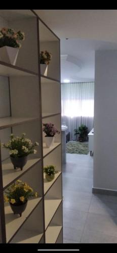 Central Sector Apartment | Apartamento confortável