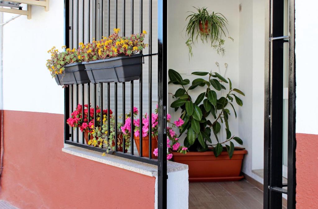 Los Pinos Apartment | Apartamento turístico la Vera